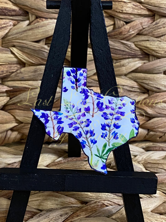 Texas w/bluebonnets