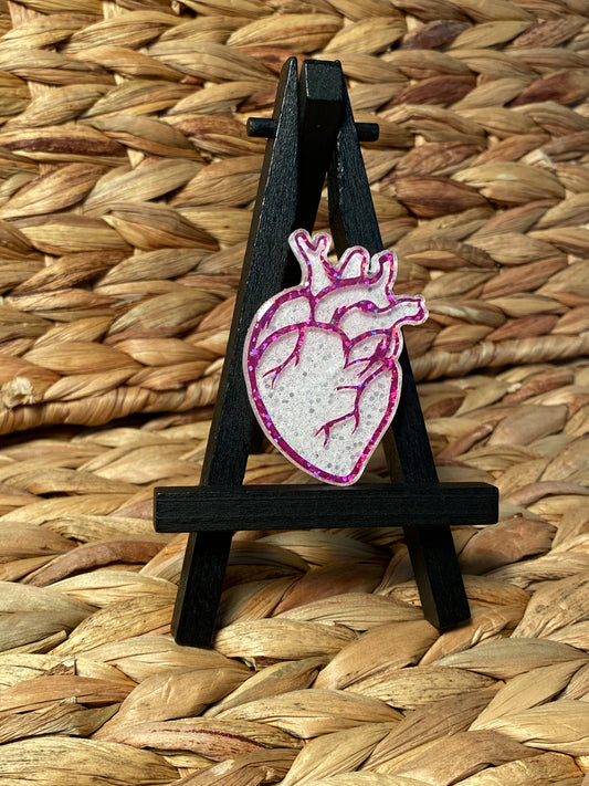 Anatomical Heart